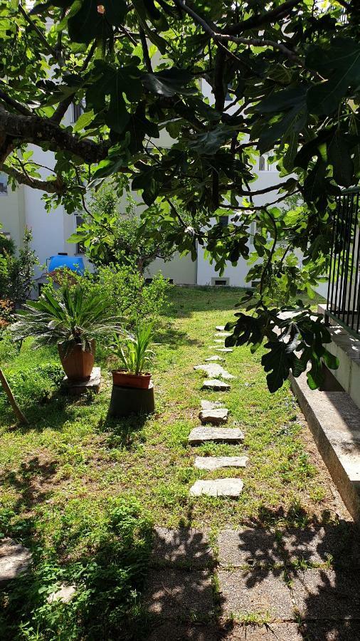 Lav Apartments Херцег Нови Екстериор снимка