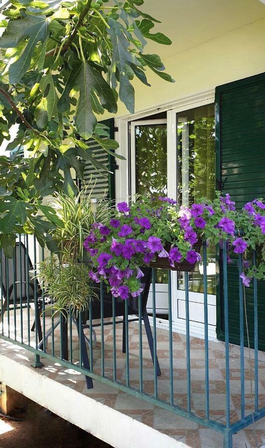 Lav Apartments Херцег Нови Екстериор снимка